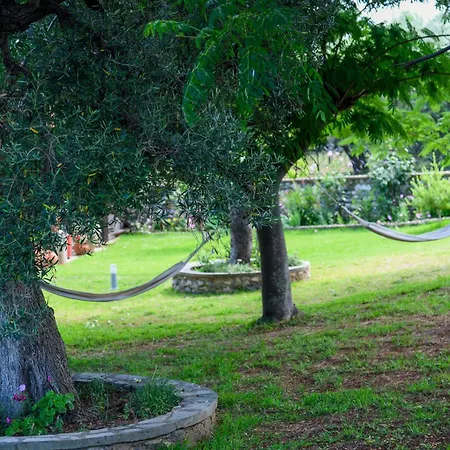 Elli * Nikiti (Sithonia)