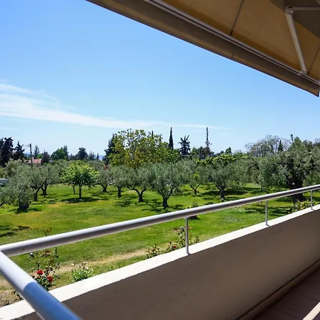 Elli * Nikiti (Sithonia)